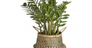 Decorative Belly Basket For Plants, Plant Pots